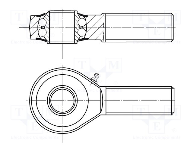 B10/BN205