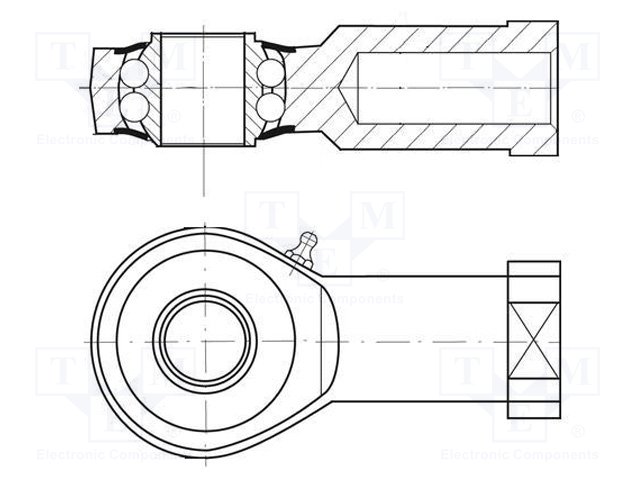 B10/BN233