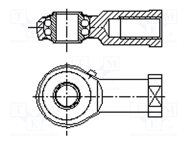 B10/BN231