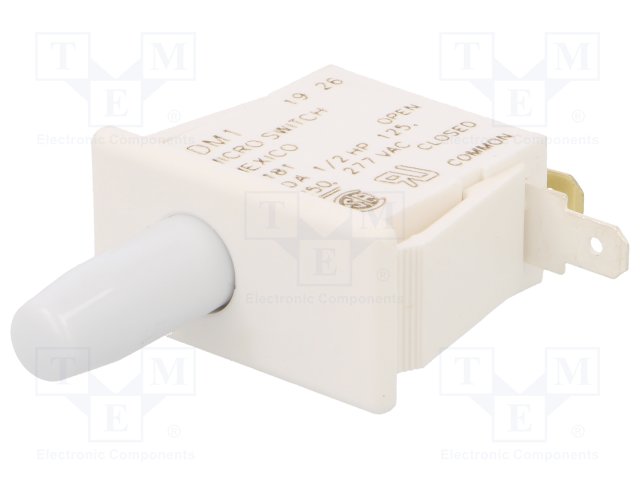 1DM1